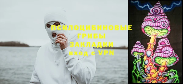 мдма Новозыбков