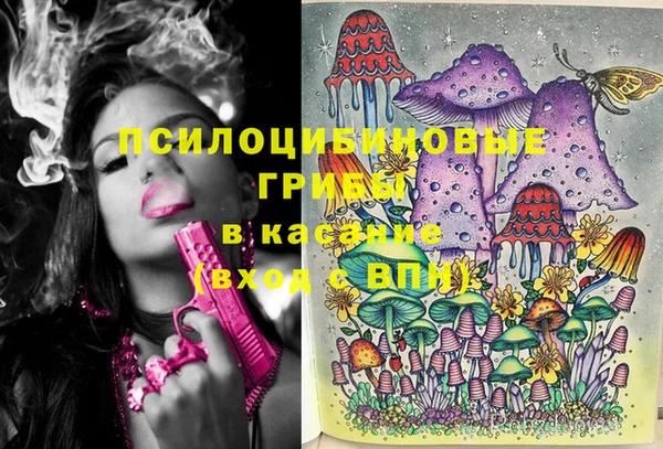 кокс Нея