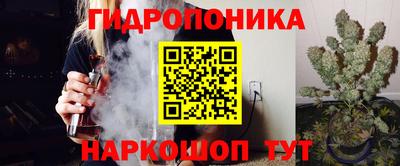 прущие крисы Кандалакша