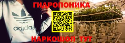 apvp Канаш