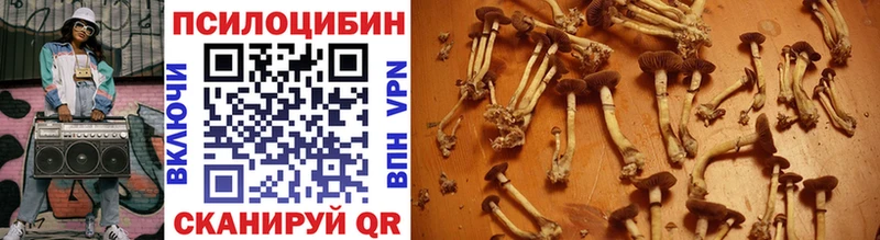 Псилоцибиновые грибы Psilocybe  OMG tor  Сарапул 