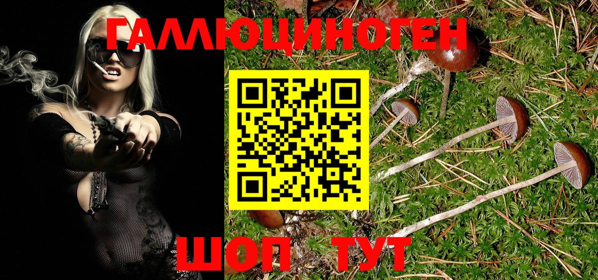 Псилоцибиновые грибы мицелий  Псилоцибиновые грибы MAGIC MUSHROOMS  Вход с VPN  Сарапул 